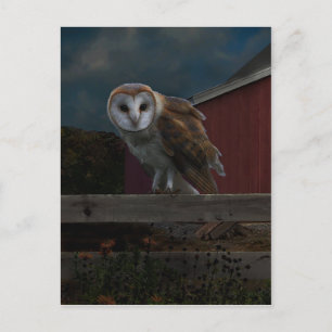 "McHoots the Watch Owl"-Briefkaart Briefkaart