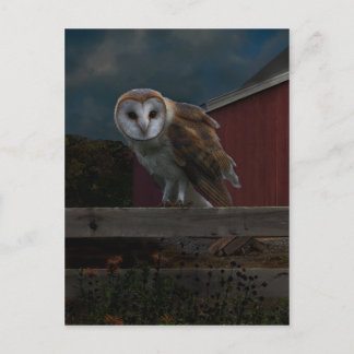 "McHoots the Watch Owl"-Briefkaart Briefkaart