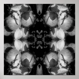 McIntosh appels op boomzwart en wit Abstract Poster