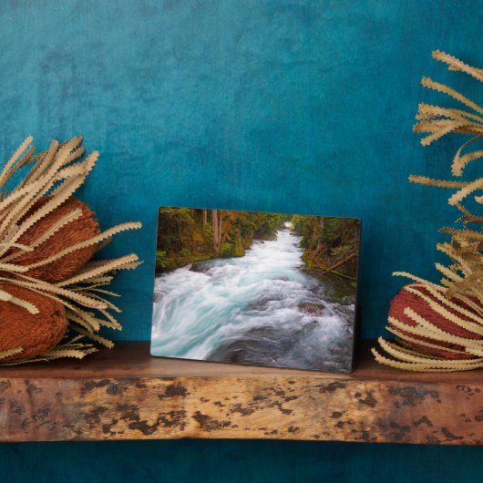 McKenzie River | Oregon Fotoplaat (Zijkant)