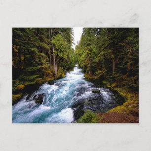 McKenzie River, Oregon, schilderachtig foto Briefkaart