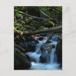 McPhee Creek, Castlegar, British Columbia Briefkaart