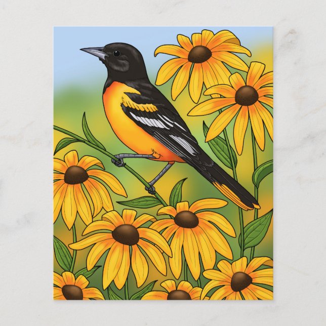 MD State Bird Oriole & Black-eyed Susan Flower (Voorkant)