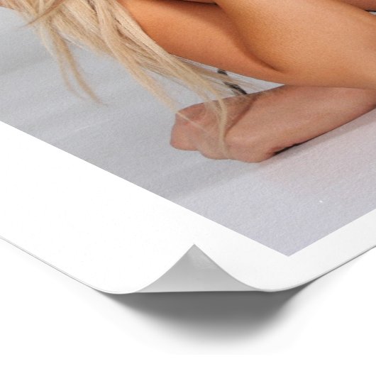 MDT-Poster Poster (Hoek)