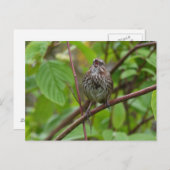 Me Chanter Une Carte Postale (Devant / Derrière)