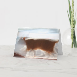 Me eerst!!! Wenskaart Kaart