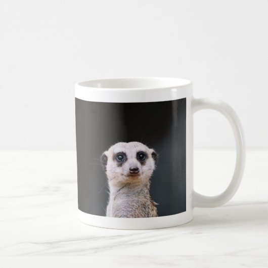 Me parlez-vous ? Tasse de Meerkate (Droite)