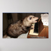 ME Pearl Possum Poster (Voorkant)