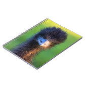 Me Regardes-Tu ? - Carnet Ostrich (Côté gauche)