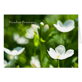 Meadow Anemone Blank Kaart