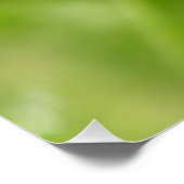 Meadow Brown Butterfly Perfect Poster (Hoek)