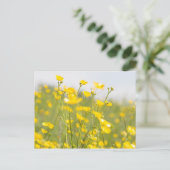 Meadow Buttercups Briefkaart (Staand voorkant)