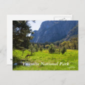 Meadow in Yosemite Carte postale (Devant / Derrière)