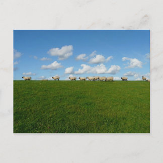 Meadow Landschap Briefkaart