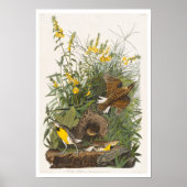 Meadow Lark par Audubon Poster (Devant)