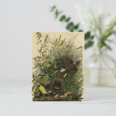 Meadow Lark van de Amerikaanse vogels van Audubon Briefkaart (Staand voorkant)