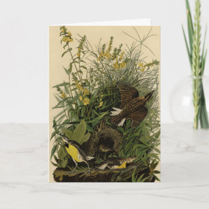 Meadow Lark van de Amerikaanse vogels van Audubon Kaart