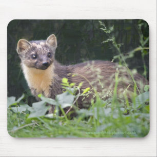 Meadow Marten Mousemat Muismat