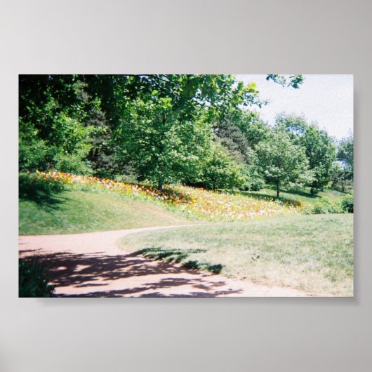 Meadow Poster (Voorkant)
