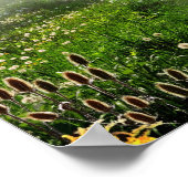 Meadow Trail Poster (Hoek)