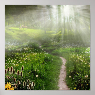 Meadow Trail Poster