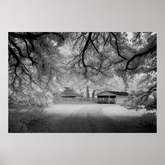 Meadowbank Boerderij Poster (Voorkant)