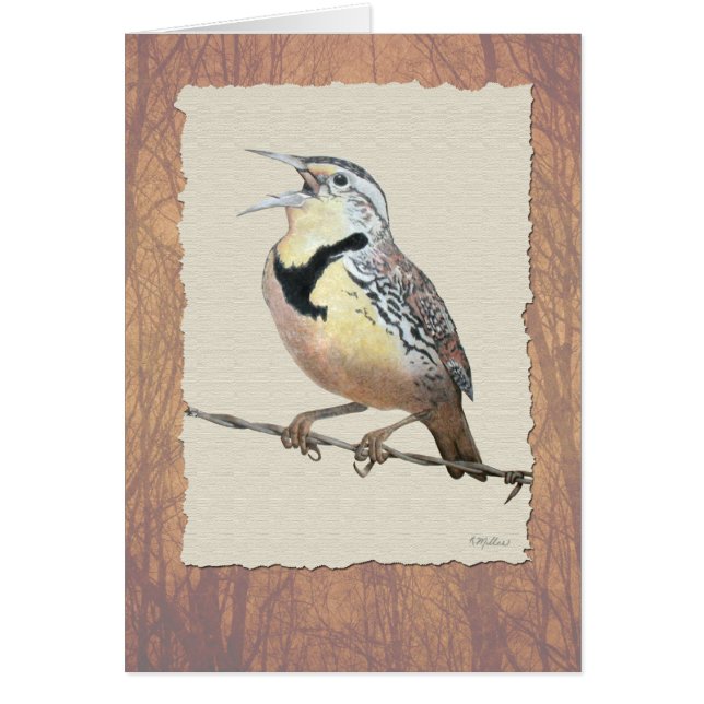 Meadowlark (Devant)