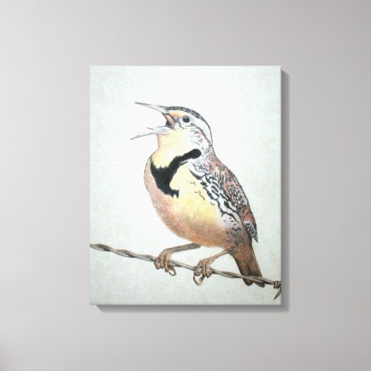 Meadowlark Canvas Afdruk (Voorkant)