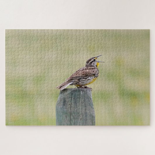 Meadowlark puzzel (Horizontaal)