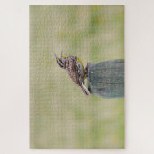 Meadowlark puzzel (Verticaal)