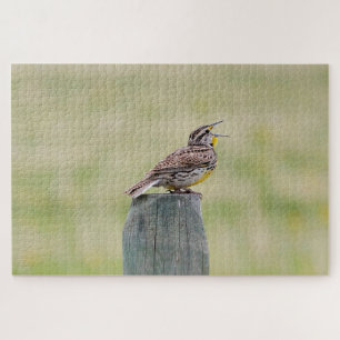 Meadowlark puzzel legpuzzel