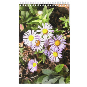 Meadows in Bloom 1-jarig kalender