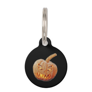 Mean and Ugly Pumpkin Face Huisdierpenning