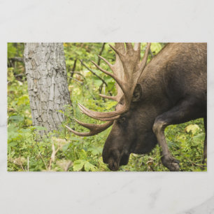 Meandering Moose Briefpapier