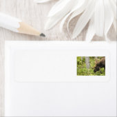 Meandering Moose Etiket (Insitu)