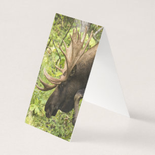 Meandering Moose Kaart