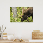 Meandering Moose Poster (Keuken)