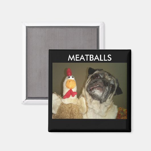 MEATBALLS MAGNETS (Recto/Verso)
