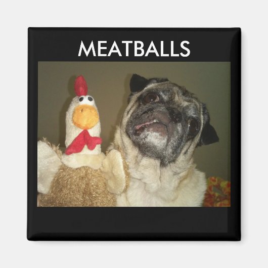 MEATBALLS MAGNETS (Devant)