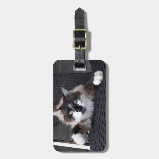 Meauw! - BAGAGELABEL (Voorkant verticaal)