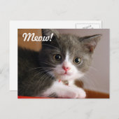 Meauw! Briefkaart (Voorkant / Achterkant)