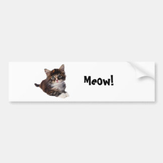 Meauw! Bumpersticker