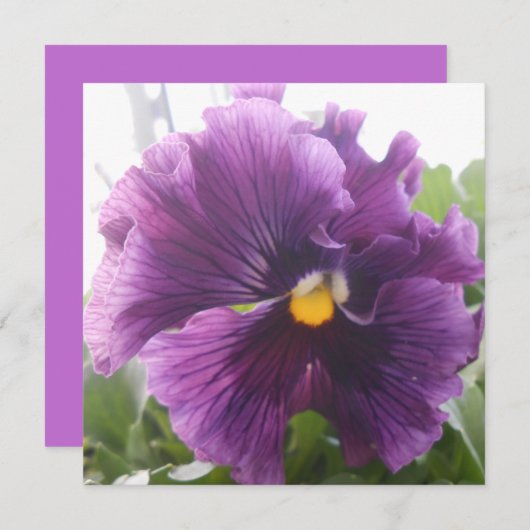 Mechteld blauw (Voorkant / Achterkant)