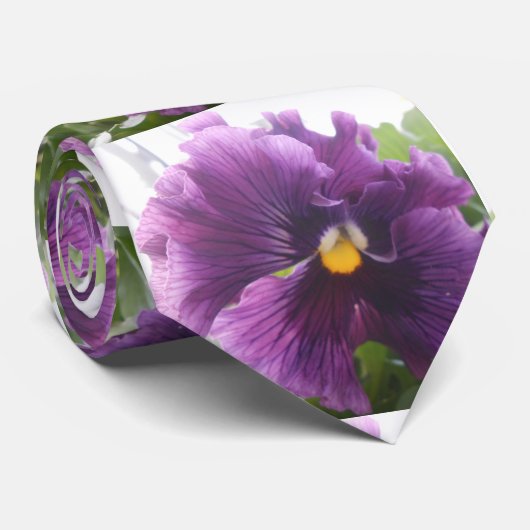 Mechteld Stropdas (Opgerold)