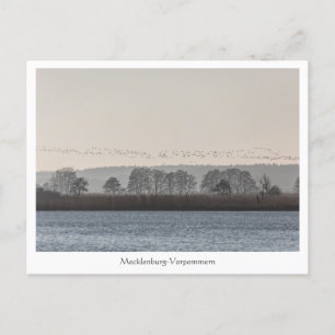 Mecklenburg-Vorpommern Briefkaart