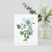 Meconopsis (blauwe papaver) briefkaart (Staand voorkant)