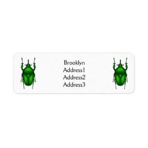 Mecynorhina torquata bug cartoon illustratie etiket