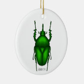Mecynorhina torquata bug cartoon illustratie keramisch ornament (Rechts)