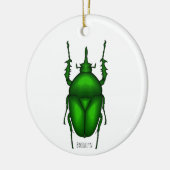 Mecynorhina torquata bug cartoon illustratie keramisch ornament (Links)