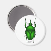 Mecynorhina torquata bug cartoon illustratie magneet (Voorkant / Achterkant)